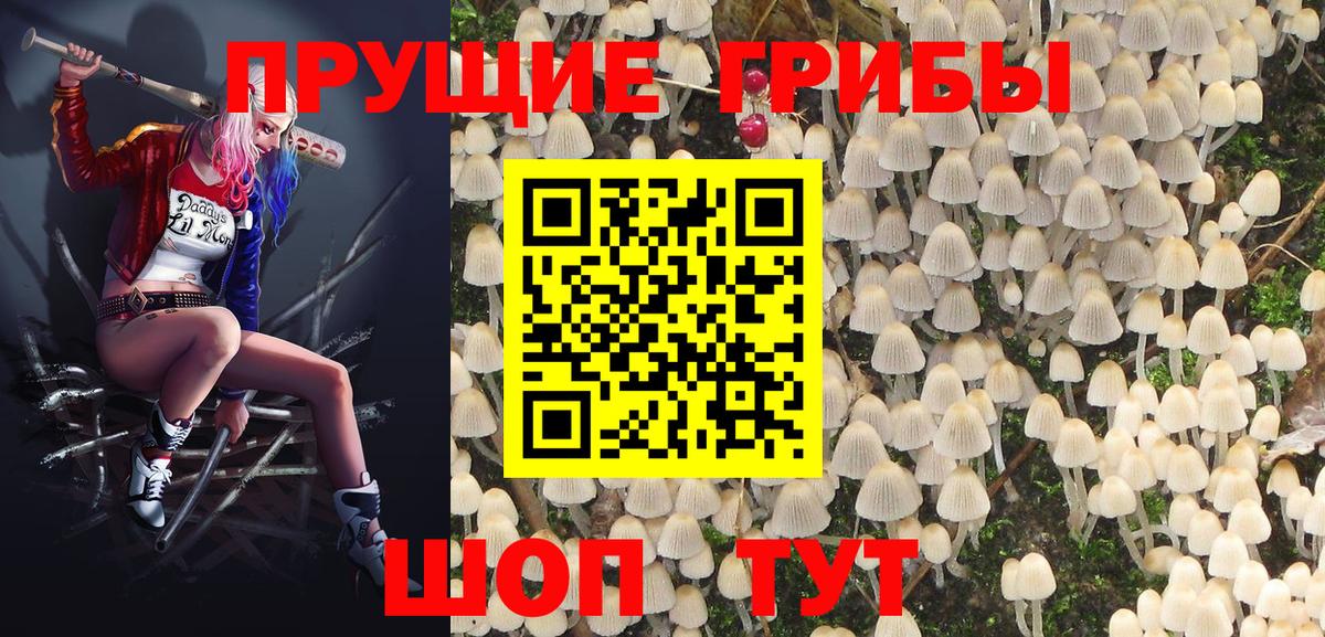 Псилоцибиновые грибы мухоморы Ялта