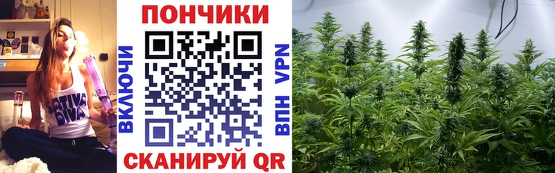 Шишки марихуана гибрид  Ялта 